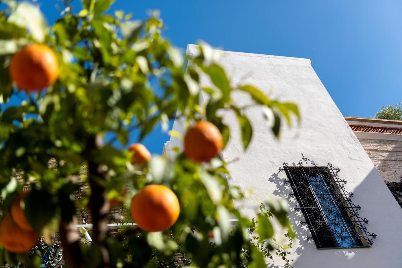 Bed and Breakfast Pajaro Rebelde Sevilla Exterior foto